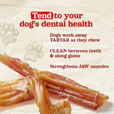 Natural Farm Beef Tendon Dog Chews