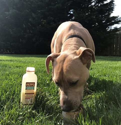 Primal Pet Foods Goat Milk Original (32 Oz)