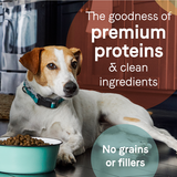 Canidae PURE Grain Free, Limited Ingredient Dry Dog Food, Duck and Sweet Potato